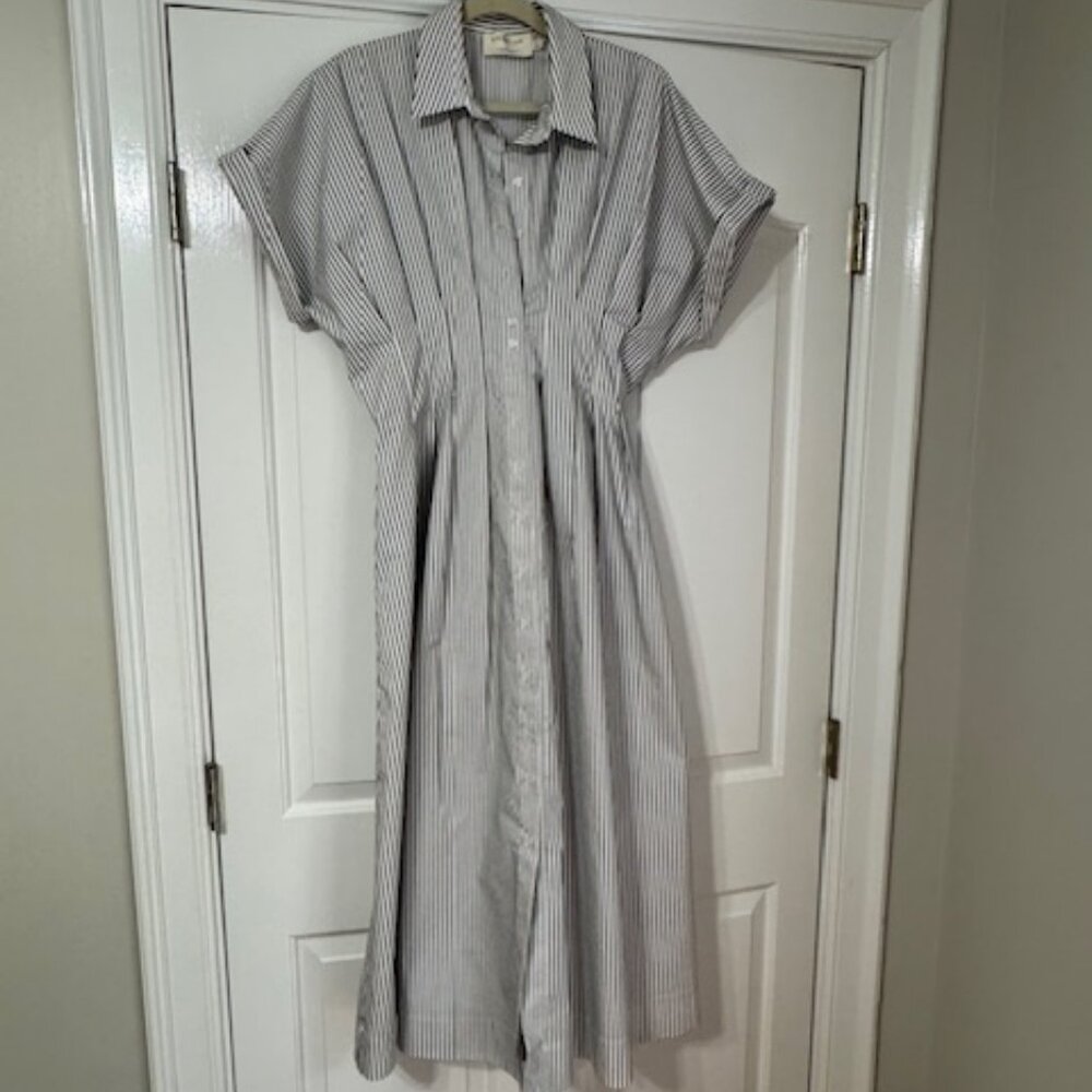 The Tobie Button Front Pleated Dress